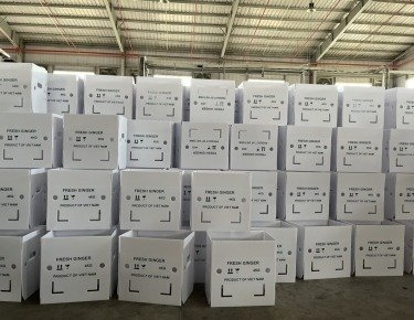 Thùng nhựa PP Danpla box